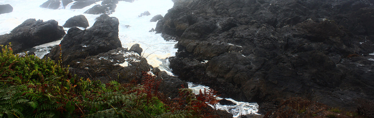 Wild Pacific Trail