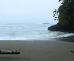 The beach area at Halfmoon Bay