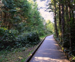 The walkway that leads to the top of Radar Hill