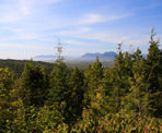 A view from the top of Radar Hill near Tofino