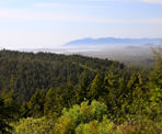 One of the views from the top of Radar Hill in Tofino