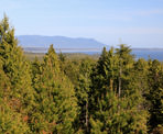 Another view from the top of Radar Hill near Tofino