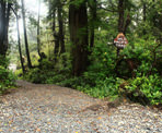 A sign marks the entrance to the Wild Pacific Trail near Ucluelet