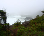 The Wild Pacific Trail is rugged and a great place to storm watch