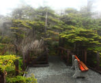 A wooden bench along the Wild Pacific Trail near Ucluelet, BC