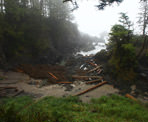 Logs wash up from the Pacific Ocean into a small cove along the Wild Pacific Trail